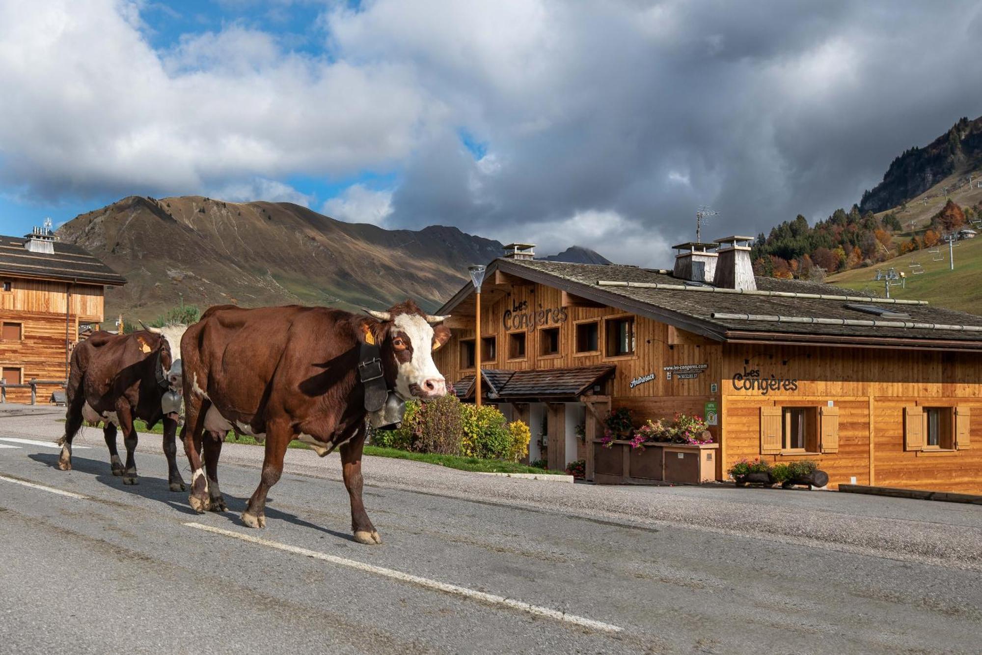 Les Congeres Villa Le Grand-Bornand Szoba fotó